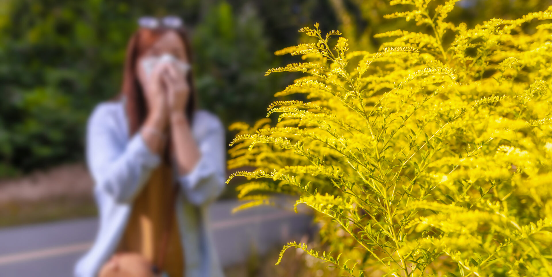 Ambrosia bush in the background woman blows her nose in napkin. Seasonal allergic reaction to plants concept
